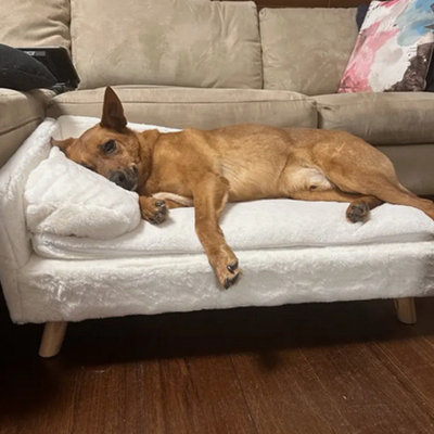 Coussin pour chien confortable et imperméable Comfy