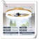 Museau Ceiling Fan with LED Lights