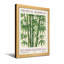 Plantes et fleurs, motif de feuilles vertes de bambou tropical-2115993852-2115993794-2115993793