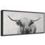 Animaux "Portrait d'une vache des Highlands", art mural noir et blanc-98042539-111176842