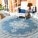 Danya Oriental Cream/Blue Indoor/Outdoor Area Rug