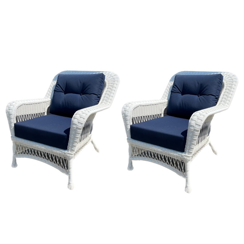 Arianny Wicker Outdoor Lounge Chair