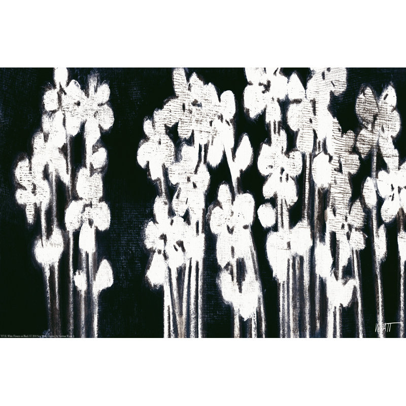 White Flowers On Black I by Norman Wyatt Jr. - Wrapped Canvas Painting, 30cm H x 46cm W