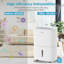 Shinco Mobile 30l/day Smart Dehumidifier & Air Purifier With Activated Carbon Filter, 24 Hour Timer, Continuous Drain, Removes Excess Moisture In Large Houses