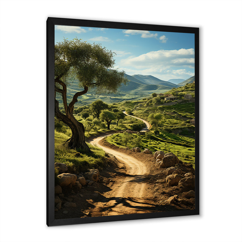 Espagne, oliveraies en Espagne II - impression, Cadre photo noir, H 32 po x l 24 po x P 1 po