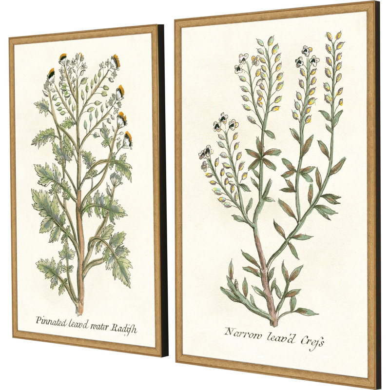 "Botanical Plants II" par Giclee Studio 2 - Ensemble de pièces sur papier