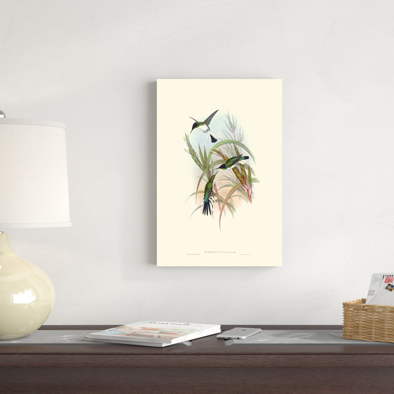 Hummingbird Delight VII, H 18 po x l 12 po x P 1,25 po