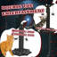 18.33 " H Cat Scratching Post