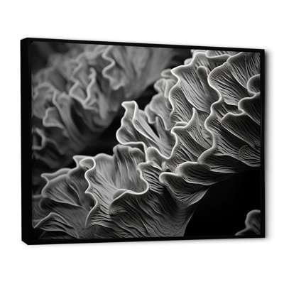 Impression sur toile «Black and White Coral Anemone», plage et océan