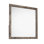 Ent Rectangle Mirror