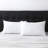 Wayfair Sleep King Size Polyester Plush Pillow-733058122-696155198
