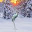 Statue de jardin Paidyn Crane-919461878