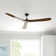 Obsidian Ceiling Fan