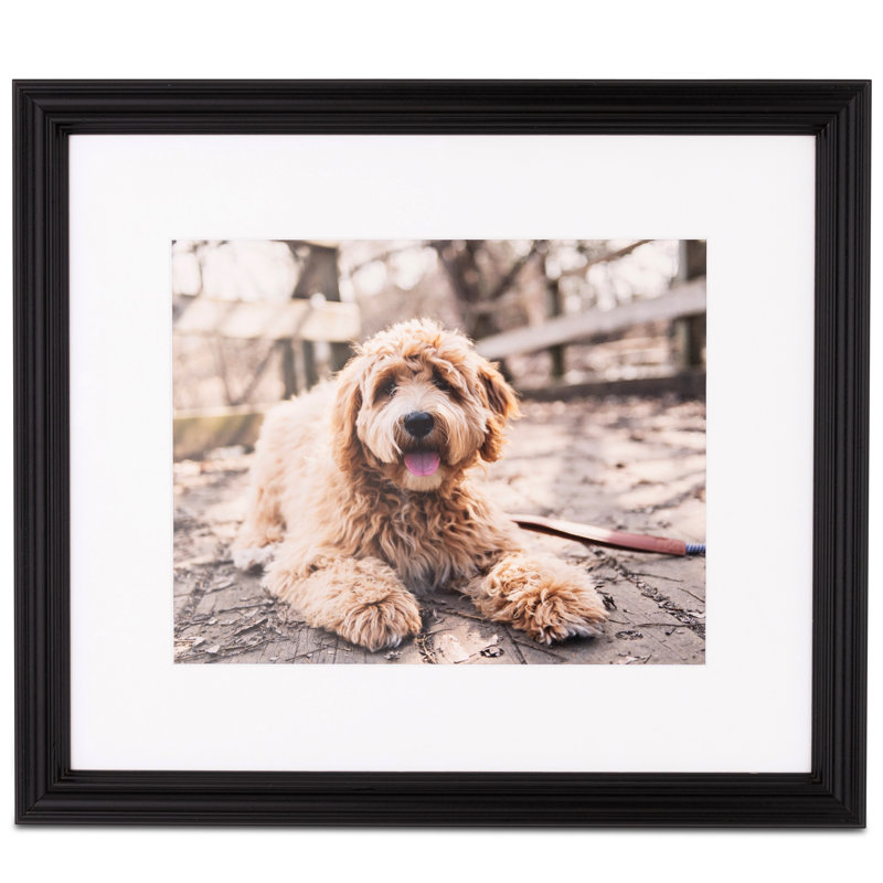 Cadre photo Braylen, 8 po x 10 po