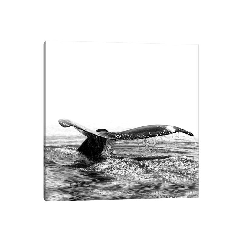 Whale Song I Iceland Black And White Square by Monika Strigel - Wrapped Canvas Print, 30.48 cm H x 30.48 cm W