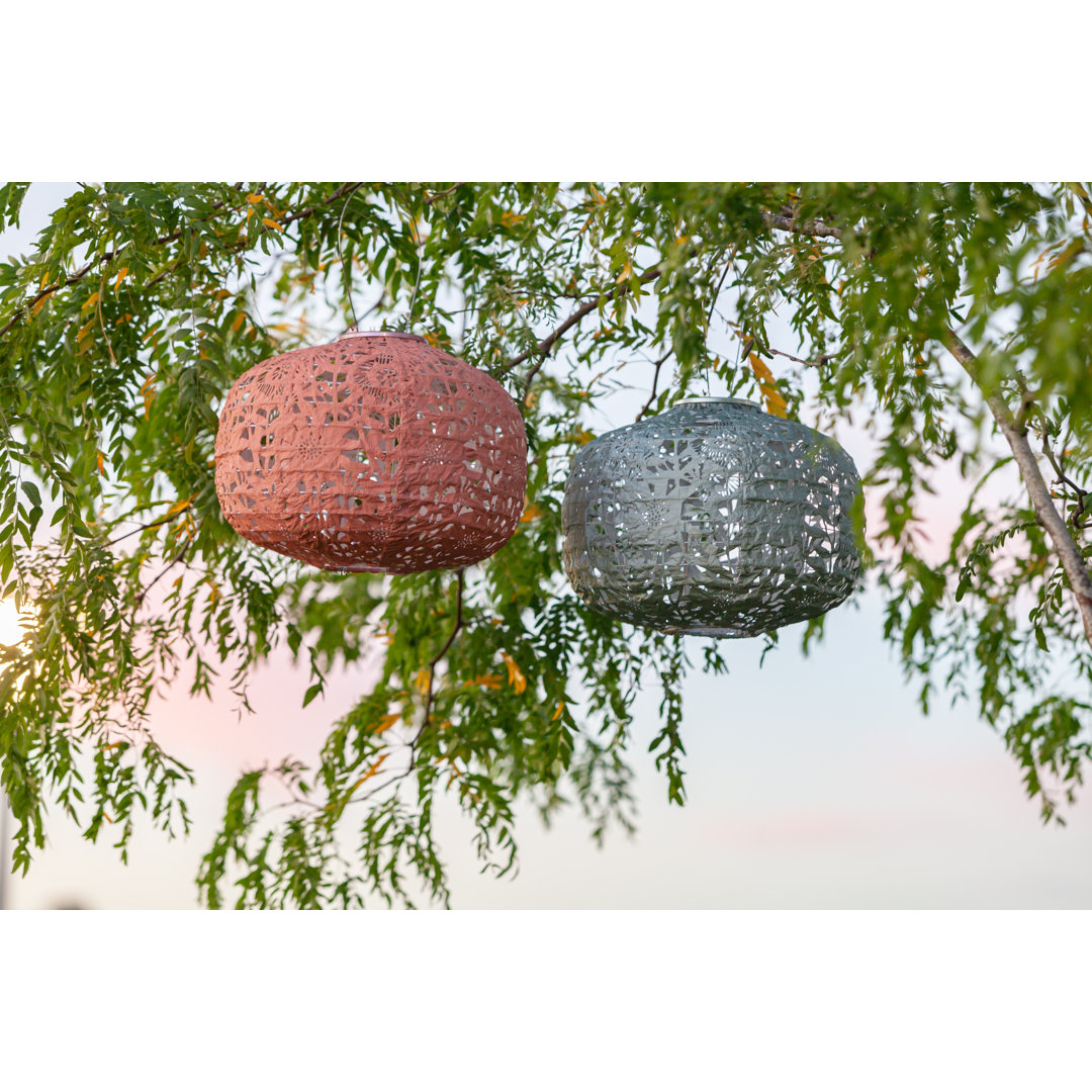 Soji 11'' Solar Powered Integrated LED Outdoor Lantern Allsop Home and Garden