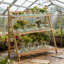Briya Plant Stand-2080035765