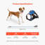 Harnais pour chien avec grand chien