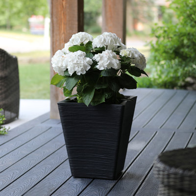 Spero Pot Planter