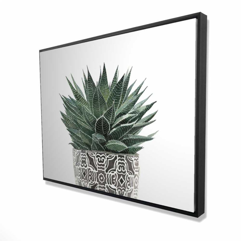Plante zébrée succulente - Toile botanique exotique