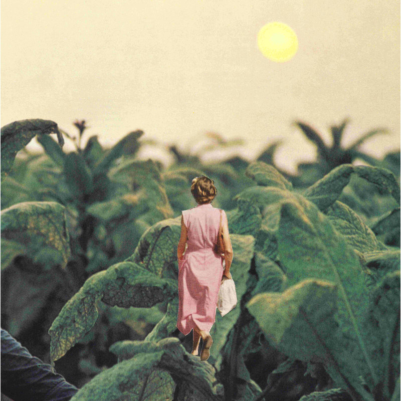 «Walking Into Leaves» - impression, H 12 po x l 12 po, Non, Toile tendue
