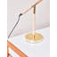Benyamin Metal Desk Lamp