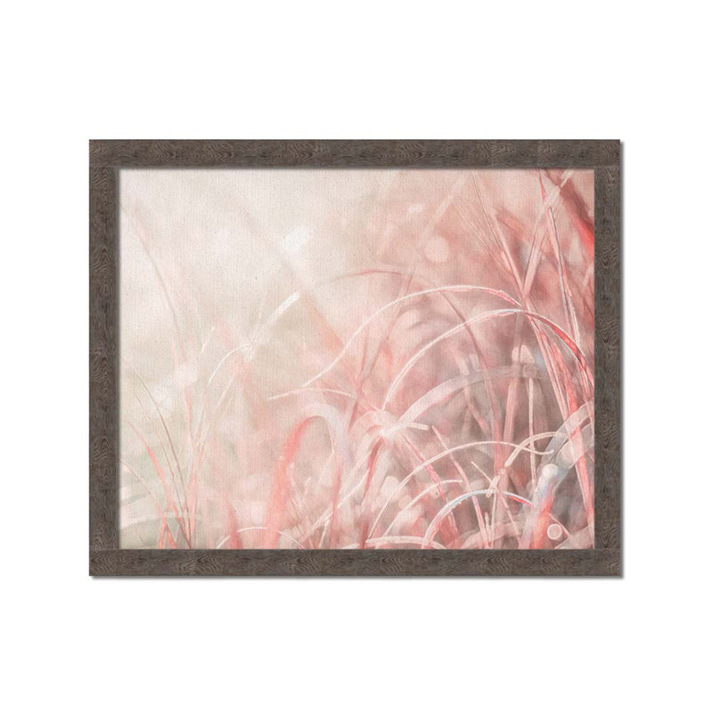 Crimson Grass in Backlight par Hal Halli. Impression sur papier - Montée et encadrée, H 36 po x l 44 po