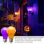 Ampoules orange mauve, A19 DEL orange et mauve à l'extérieur, ampoules d'Halloween, 9 W (équivalent à 60 watts) - E26