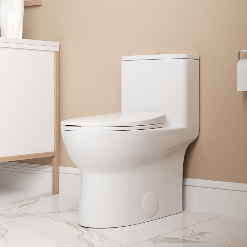 Ally Dual-Flush Elongated One-Piece Toilet with Glazed Surface Modern Toilet with Comfort Seat Height  (Seat Included), 12"