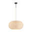 Luminaire suspendu charbon 1 lumière Modjeska