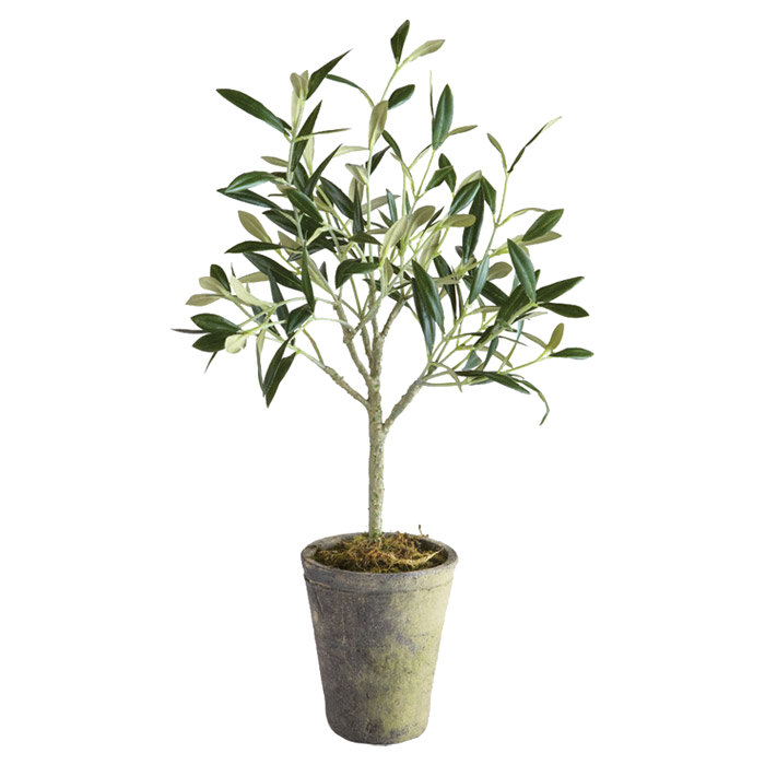 Olive artificielle en pot, H 30 po x l 5,5 po x P 5,5 po