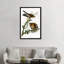 « red-épaulee hawk » par john james audubon, reproduction d’art sur toile-774591317-719765892-774591318