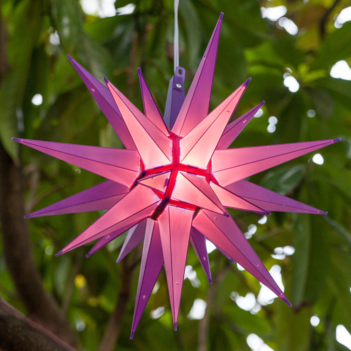 Moravian Star Lighted Outdoor Display, Purple