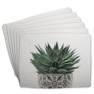 Braided Polyester Placemat Set of 6 | Zebra Plant Succulent Decor