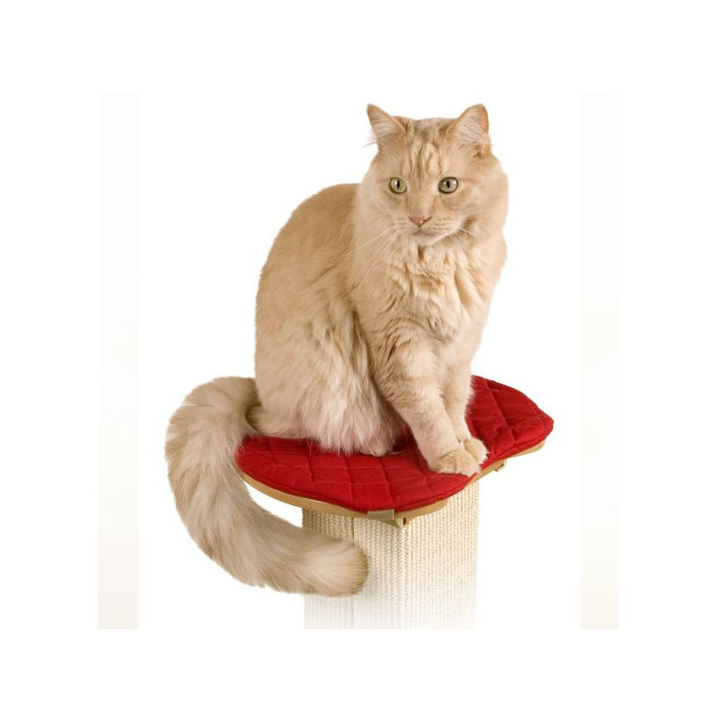Perchoir à chat 2" ultimate poteau