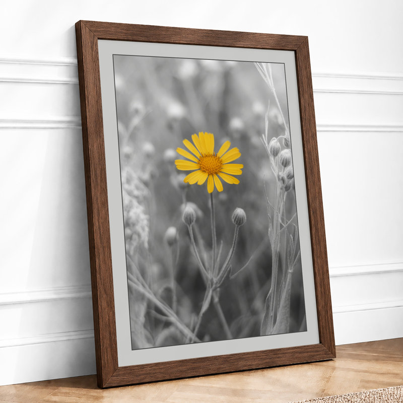 Solitary Yellow Bloom Modern - Framed Print, A2 - 59.4 x 42.0 cm, Walnut
