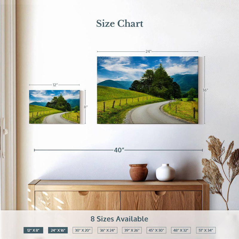 Mehar Cades Cove Open Road, H 16 po x l 24 po