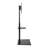 Quitman Symple Stuff Single Screen Floor Stand Mount