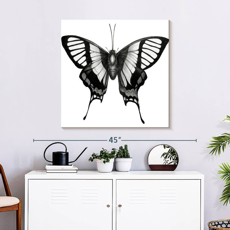 Ailes de papillon Crowle, H 30 po x l 30 po
