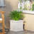 PLANTER