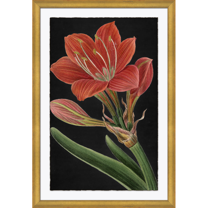 Red Flower Large Giclee Print