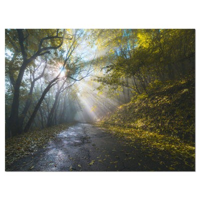 Road in Autumn Forest at Sunset - Wrapped Canvas Photograph Print