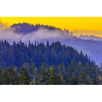 Région côtière de l'Oregon par Don White