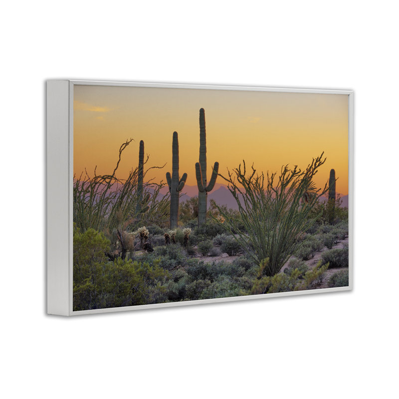 Coucher de soleil, paysage de cactus, estampe numérique par Marty Hulsebos, Estampe numérique encadrée blanc bord de mer