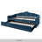 Caitronia Upholstered Velvet Daybed with Trundle Bed-82644832