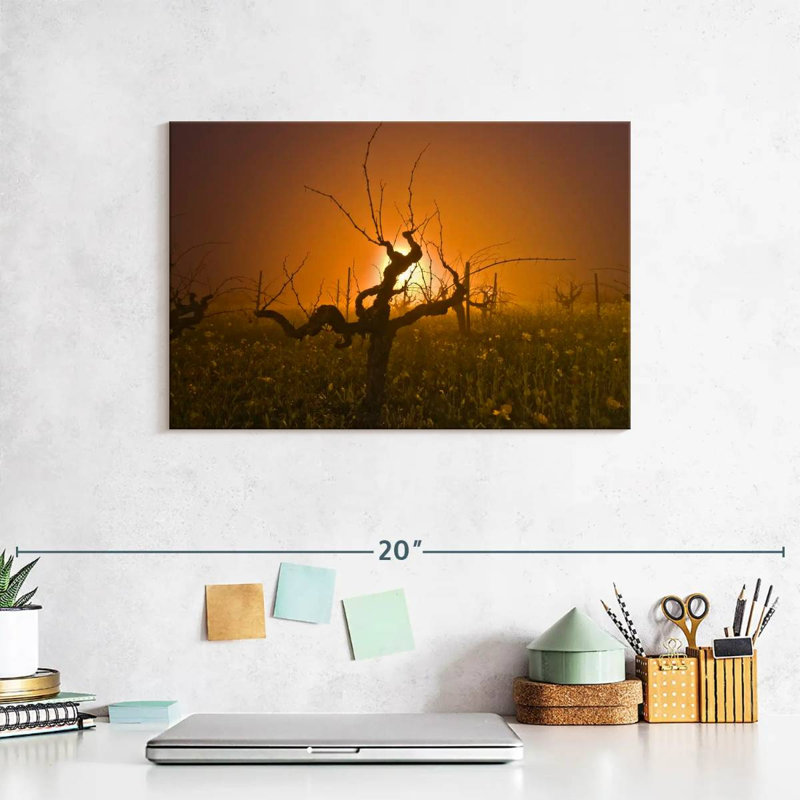 Alvord Empty Grapevine Vineyard