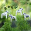 3.7'' Handmade Wood Animals Hanging Figurine Ornament
