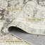 Dezrae Oriental 120cm X 170cm Area Rug