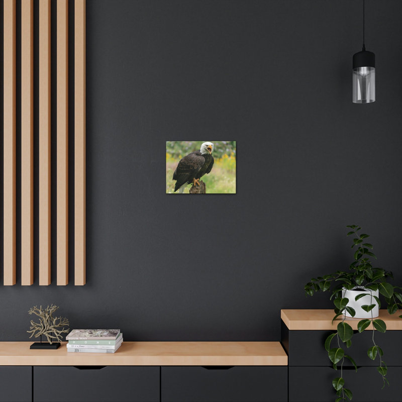Art mural majestueux aigle à tête blanche, H 12 po x l 16 po