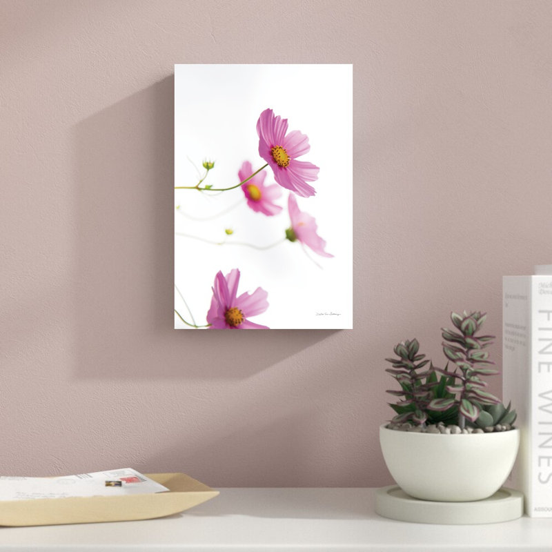 «Pale Cosmos I» par Van Swearingen, Debra - reproduction, H 12 po x l 8 po